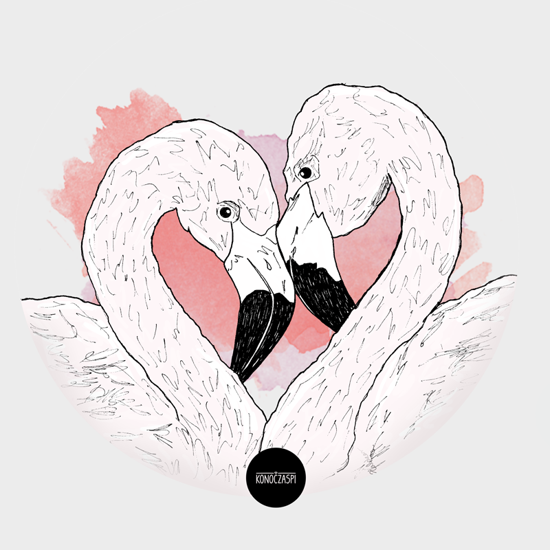 flaminga_blog